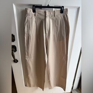 Everlane High waisted Drape Pleated Wide leg pants